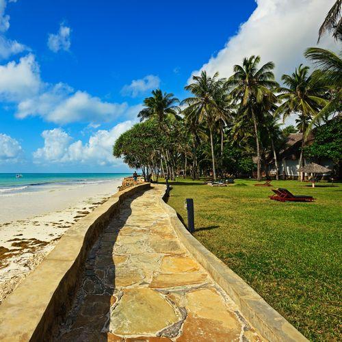 Day 7- 8  Under the Sun - Diani