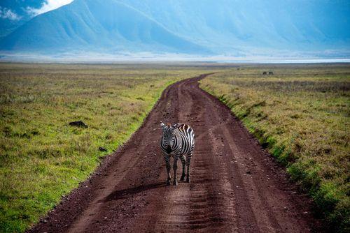Day 2: Nairobi to Amboseli National Park