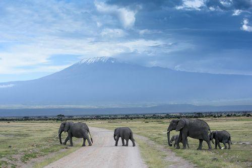 Day 3: Amboseli National Park
