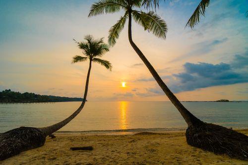 Day 4: Romantic Coastal Retreat in Bentota