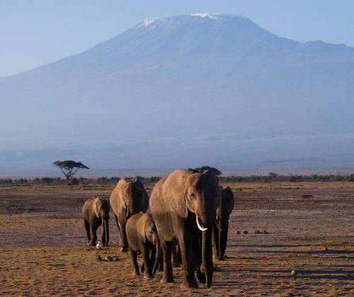 Day 2: Amboseli National Park