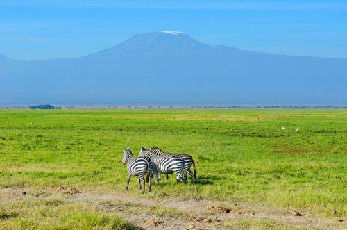 Day 1: Amboseli national Park