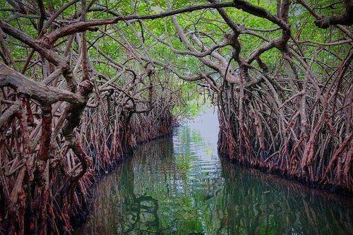 Day 13: Exclusive Evening on Madu River