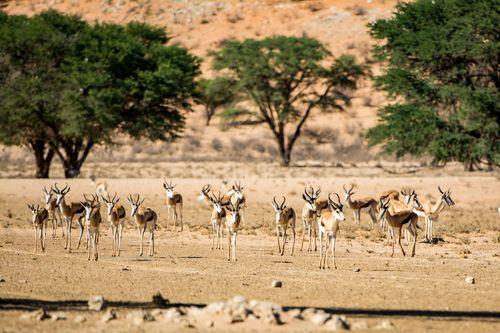 Day 7–8: Masai Mara National Reserve