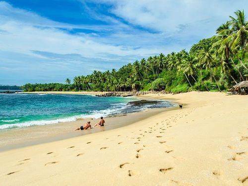 Day 13: Beach Relaxation and Leisure in Bentota