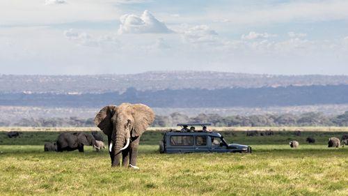 Day 4: Masai Mara Game Reserve