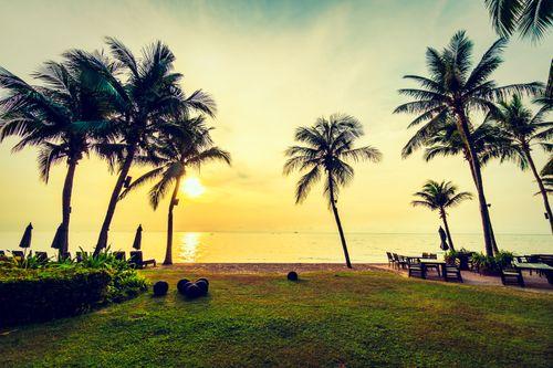 Day 1: Luxury Arrival and Relaxation in Negombo