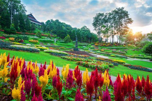 Day 7: Nuwara Eliya Botanical Gardens and Tea Factory Tour