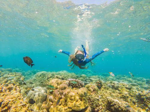 Day 7 & 8: Luxury Marine Escapes and Coral Adventures in Hikkaduwa