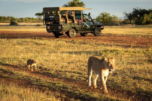 Day 4: Amboseli National Park - Lake Nakuru National Park