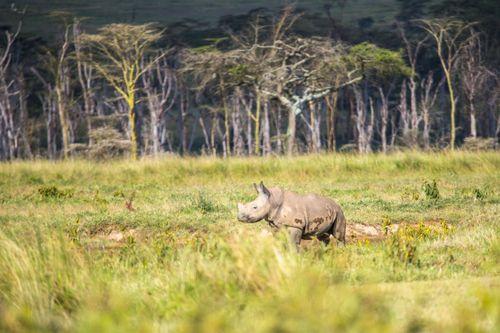 Day 11: Ngorongoro Conservation Area