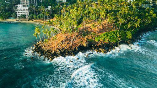 Day 9: Whale and Dolphin Watching in Mirissa Sri Lanka