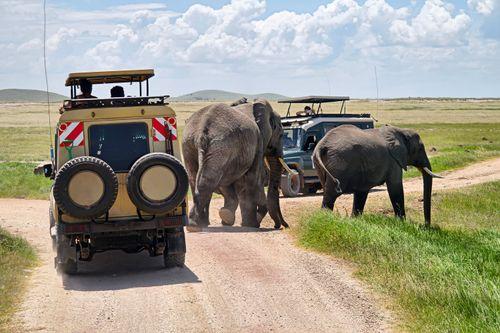 Day 1: Arrival in Nairobi & Transfer to Amboseli