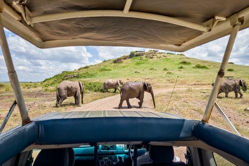 Day 3: Full day in Masai Mara Game Reserve