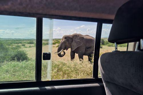 Day 5: Lake Nakuru to Masai Mara National Reserve