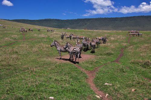 Day 1: Arrival in Nairobi